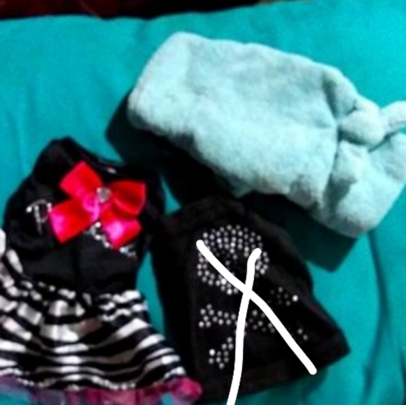 Bundle of female puppy clothes